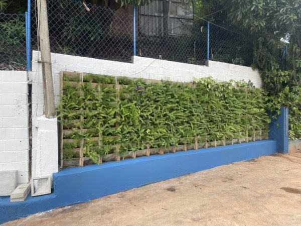 bloco jardineira vertical em concreto na parede instalada com samambaias