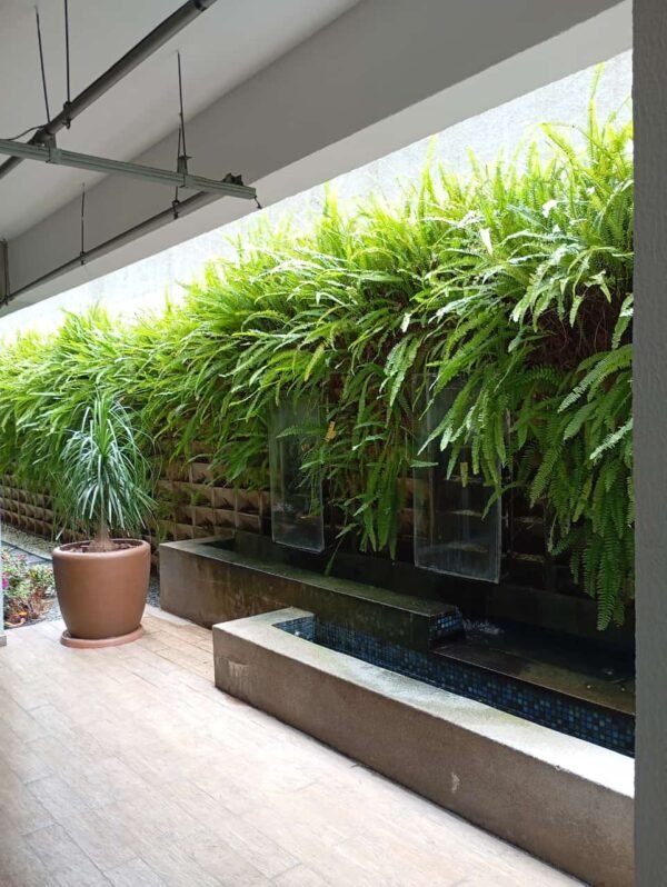 Jardineira vertical com planta samambaia